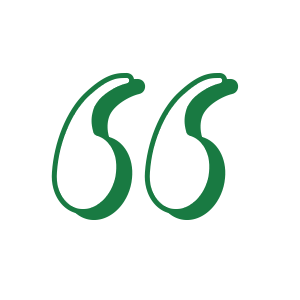 Quote Marks Quote Marks